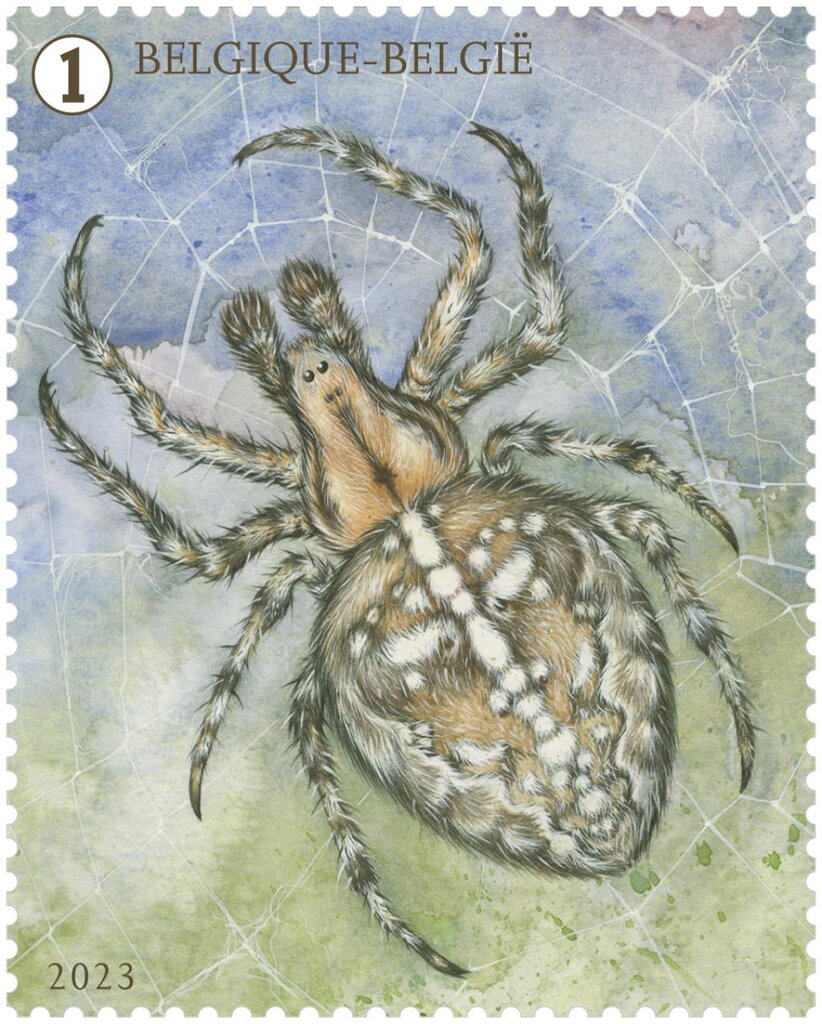 Araneus diadematus