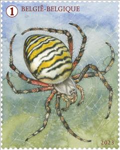 Stamp, Argiope bruennichi, Belgium,  , Spiders
