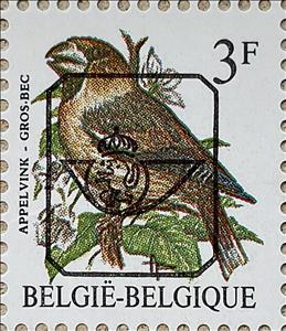 Stamp, Hawfinch (Coccothraustes coccothraustes), Belgium,  , Animals (Fauna), Birds