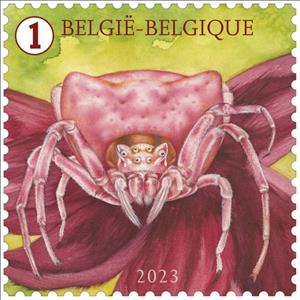 Stamp, Thomisus onustus, Belgium,  , Spiders