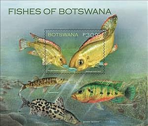 Souvenir Sheet, Southern Mouth Brooder (Pseudocrenilabrus philander), Botswana,  , Fishes