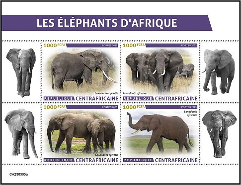 African Elephants