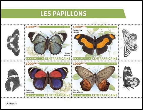 Butterflies