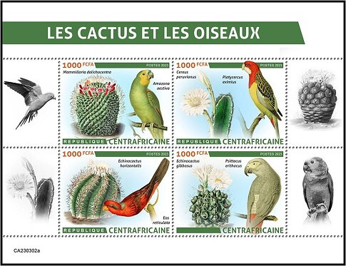 Cactus and Birds