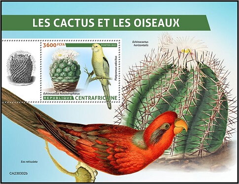 Echinocactus hexaedrophorus/Platycercus adscitus