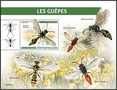 Eumenes bipunctis