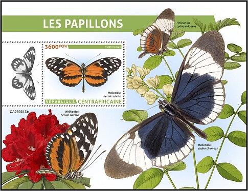 Heliconius hecale zuleika