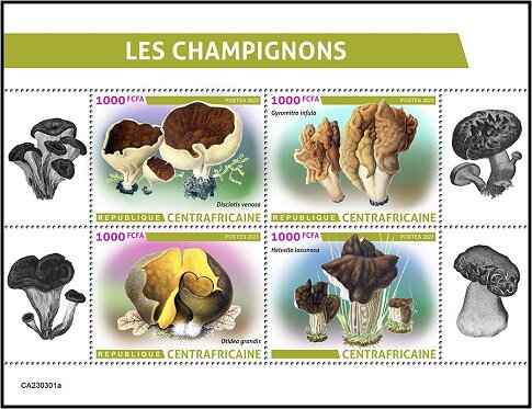 Mushrooms