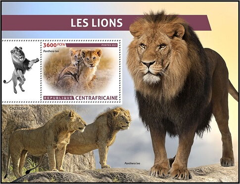 Panthera leo