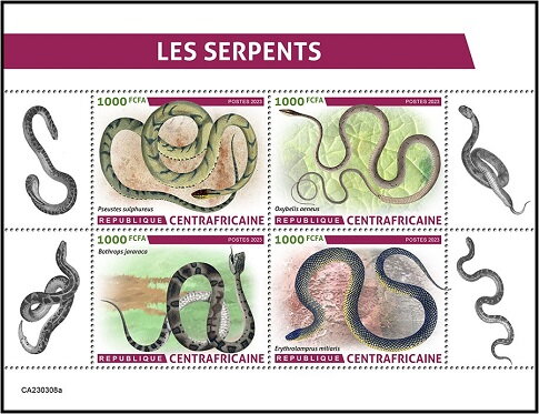 Snakes