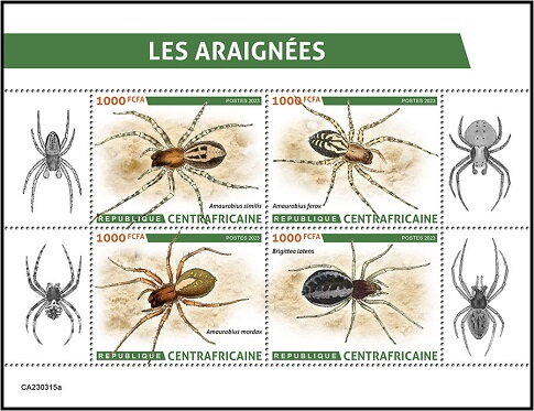 Spiders