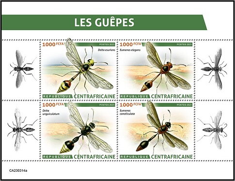 Wasps