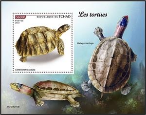 Souvenir Sheet, Centrochelys sulcata, Chad,  , Animals (Fauna), Reptiles, Turtles