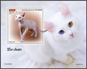 Souvenir Sheet, Devon Rex, Chad,  , Animals (Fauna), Cats, Mammals