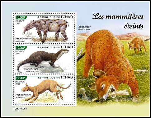 Extinct Mammals