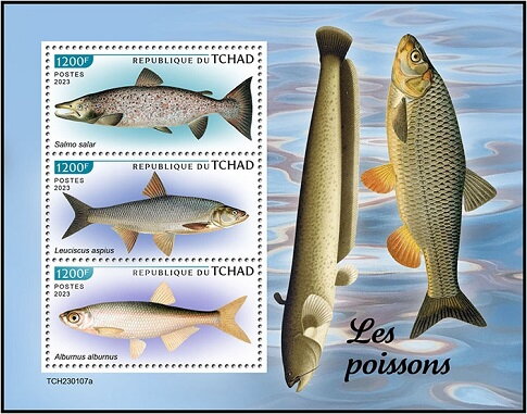 Fishes