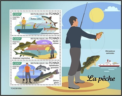 Fishing