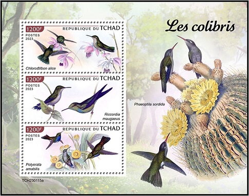 Hummingbirds