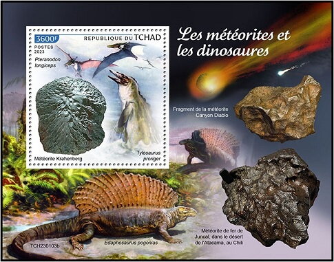 Krahenberg Meteorite/Pteranodon longiceps