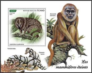 Souvenir Sheet, Leptictidium auderiense, Chad,  , Animals (Fauna), Mammals
