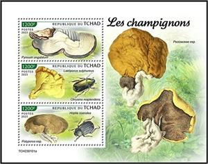 Mini Sheet, Mushrooms and Insects, Chad,  , Insects, Mushrooms
