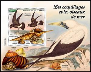 Souvenir Sheet, Oceanites oceanicus/Tibia melanocheilus, Chad,  , Birds, Shells