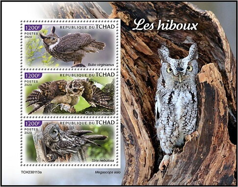 Owls