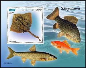 Souvenir Sheet, Raja clavata, Chad,  , Animals (Fauna), Fishes, Sea Life