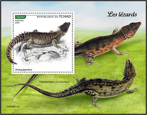 Smaug giganteus