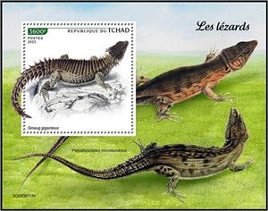 Souvenir Sheet, Smaug giganteus, Chad,  , Lizards, Reptiles