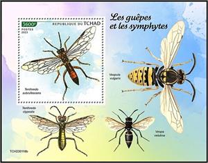 Souvenir Sheet, Tenthredo subrufescens, Chad,  , Insects