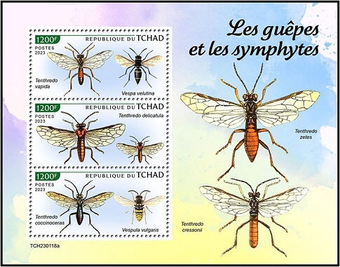 Wasps and Sawflies