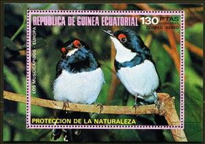 Souvenir Sheet, Black-throated Wattle-eye (Platysteira peltata), Equatorial Guinea,  , Birds, Animals (Fauna)