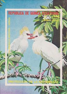 Souvenir Sheet, Cattle Egret (Bubulcus ibis), Equatorial Guinea,  , Birds, Animals (Fauna)