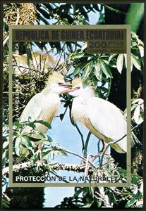 Souvenir Sheet, Cattle Egret (Bubulcus ibis), Equatorial Guinea,  , Birds, Animals (Fauna)