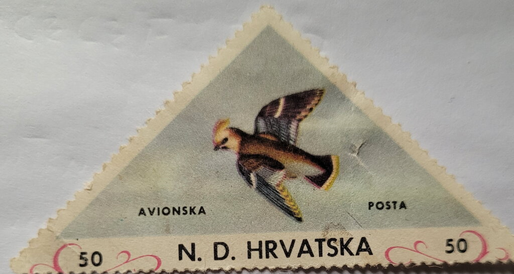 Bohemian Waxwing (Bombycilla garrulus)