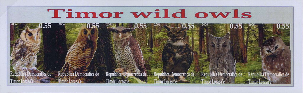 Owls