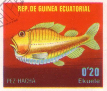 Hatchetfish