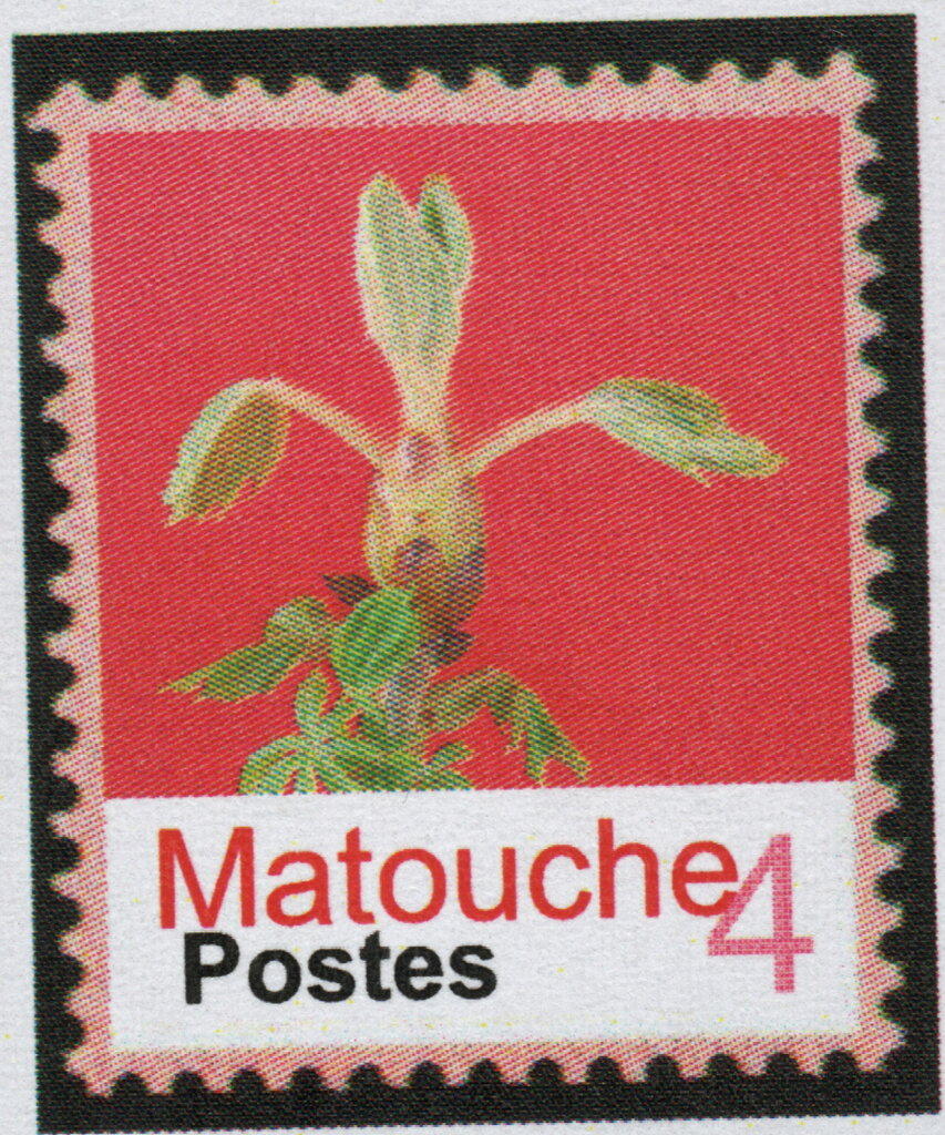 Dam Batai Province: Matouche - Flower