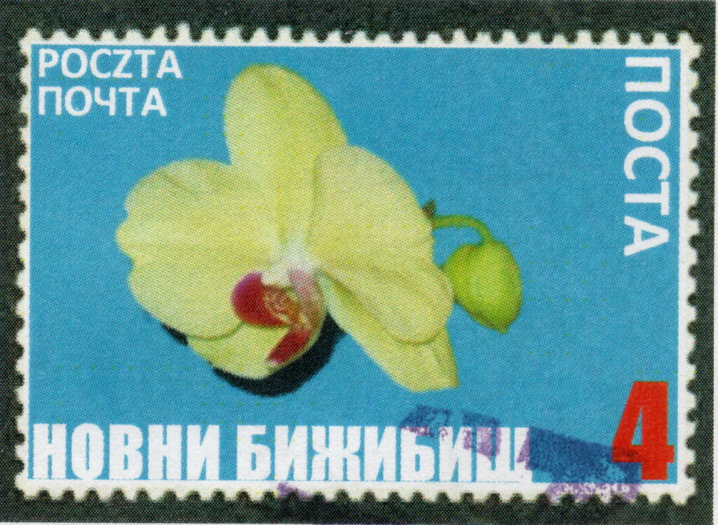 Dan Batai Province: Silimiso Cyrillic flower issue value 4