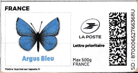 Blue Butterfly. Argus Bleu. Redesign with laposte logo