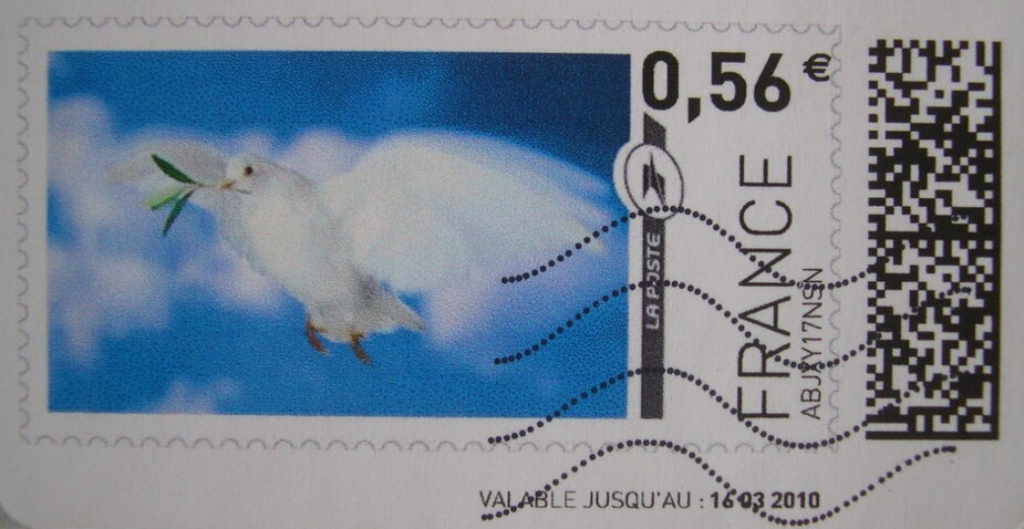 Dove
