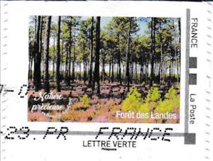 Stamp, Forest. Foret de Landes, France,  , Forests, Landscapes