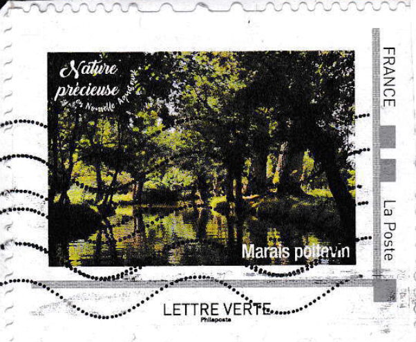 Marsh. Marais Poitevin