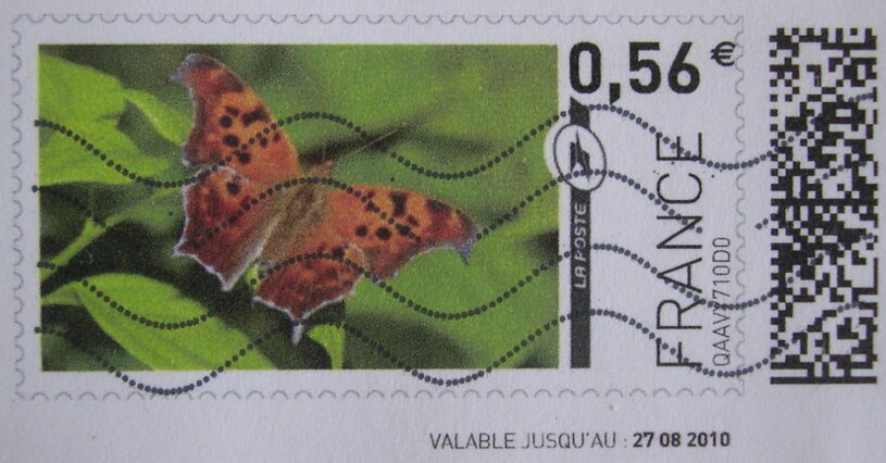 Orange Butterfly. Painted Lady.