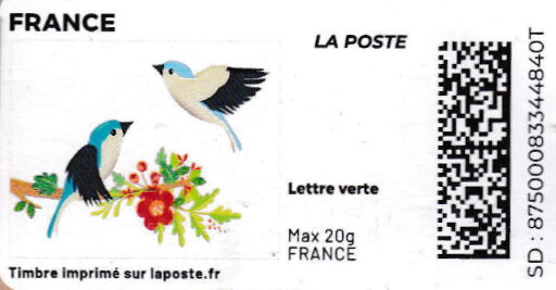 Spring. Birds Nesting. White Background. Redesign no logo