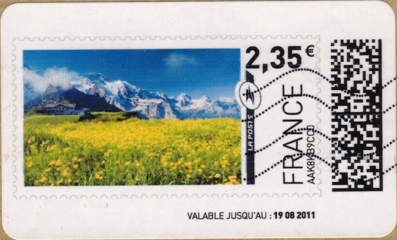 Upland Meadow and Mountains