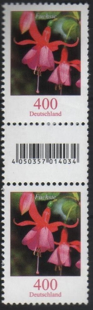 Gutter Pairs, Fuchsia (Fuchsia sp.), Germany, Federal Republic,  , Flowers, Plants (Flora)