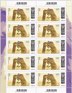 Full Pane, Ground Squirrels (Sciuridae sp), Germany, Federal Republic,  , Animals (Fauna), Mammals, Squirrels