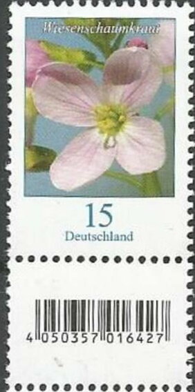 Milkmaids (Cardamine pratensis)